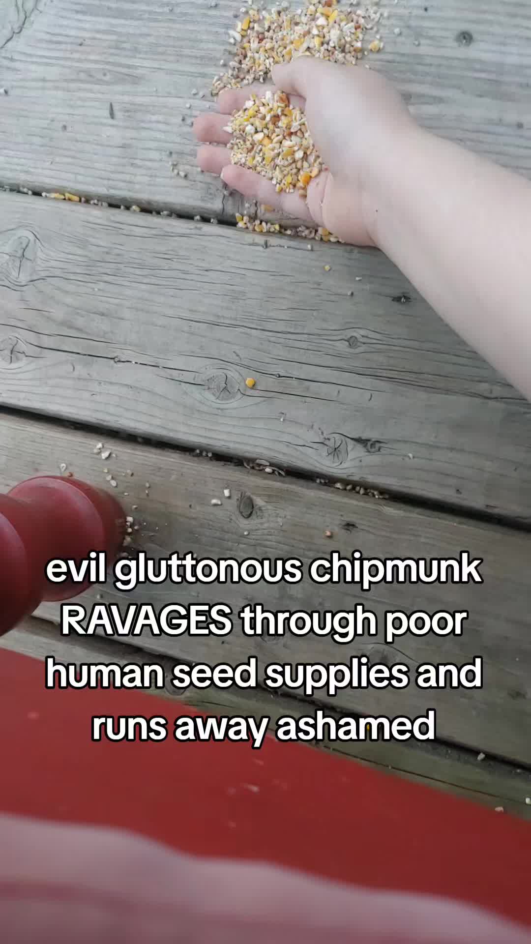 @HamSandwhich