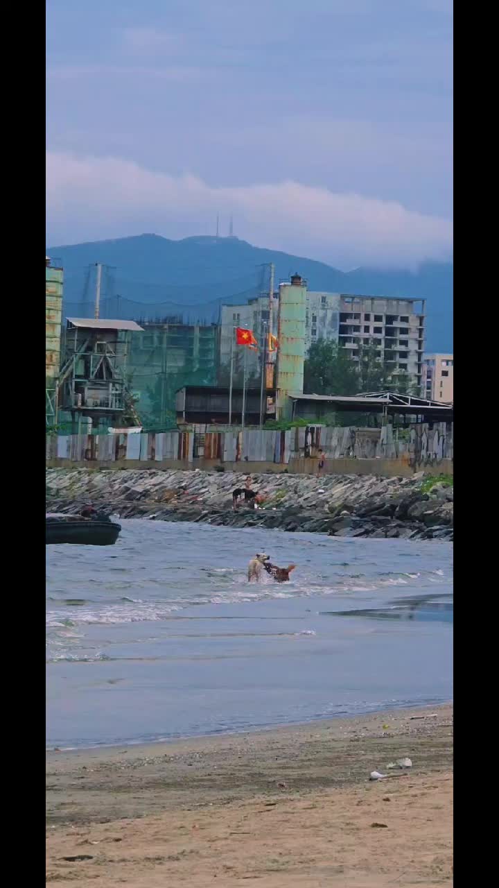 @&ocirc;ng gi&agrave; đầu tư 👴 b&aacute;n s&aacute;ch