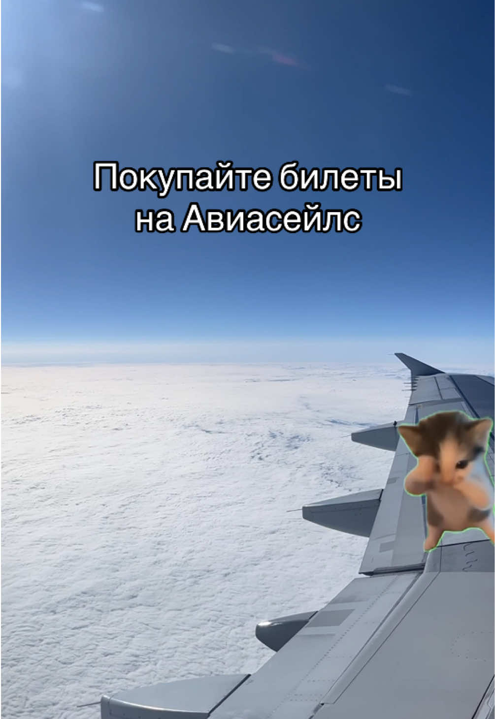 @Aviasales Беларусь