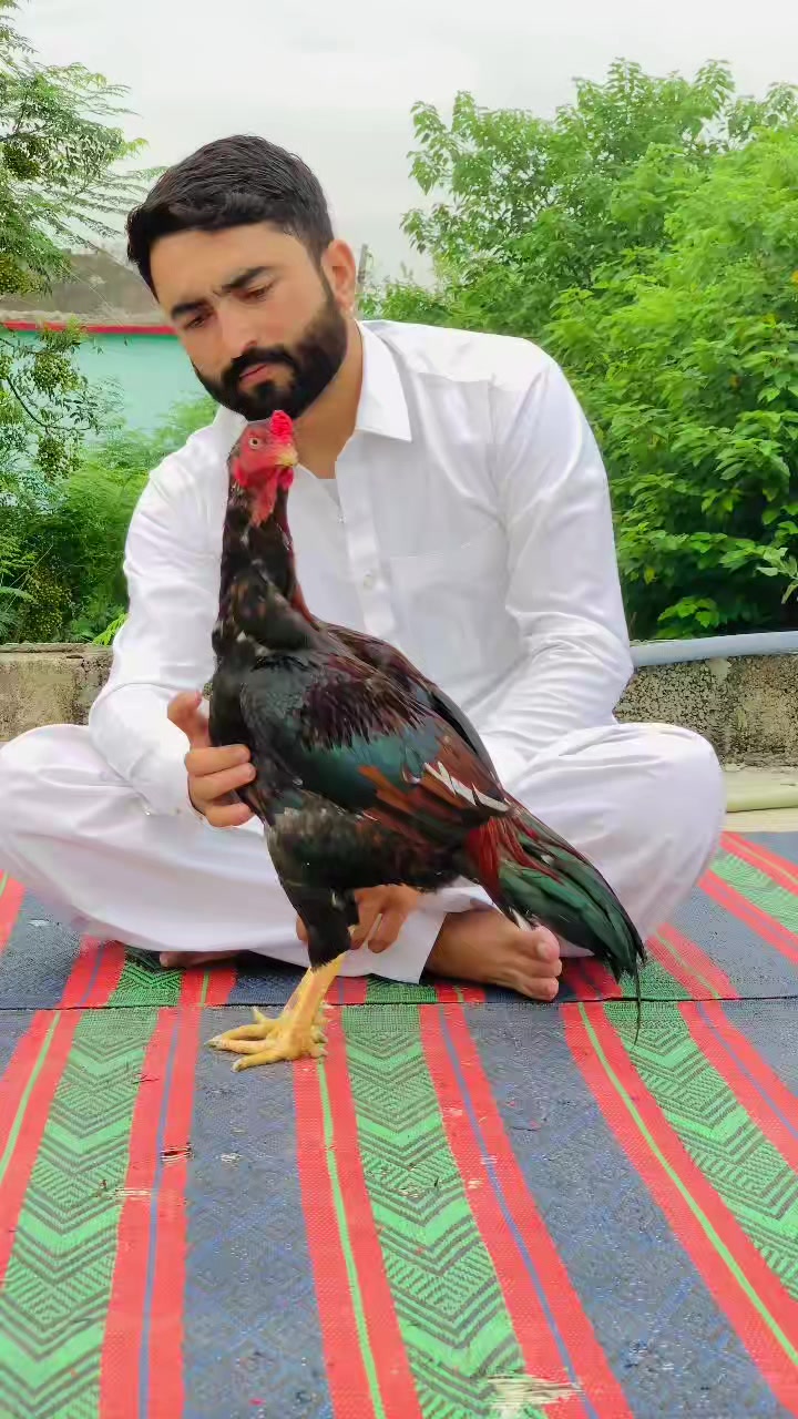 @🌿Syed IftiKHaR SHaH🌿