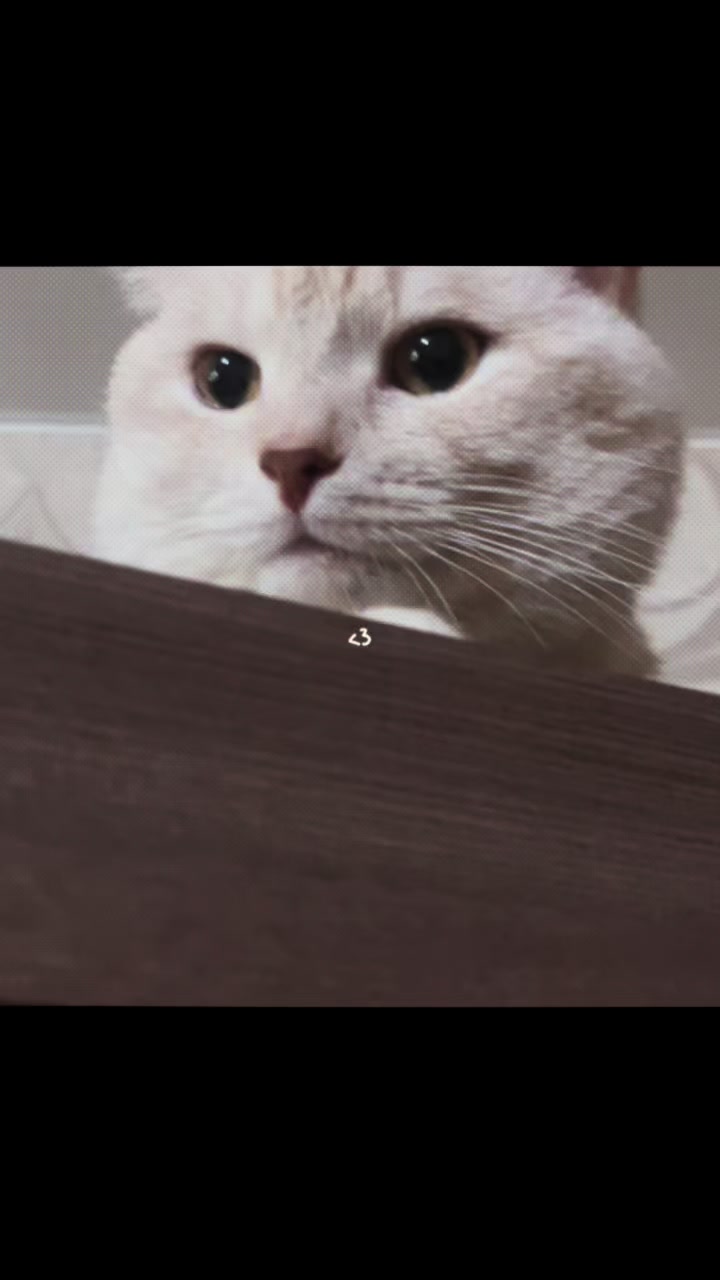 @๐ต๐๐๐๐๐๐๐
