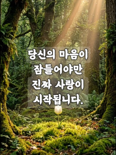 @빛의 씨앗