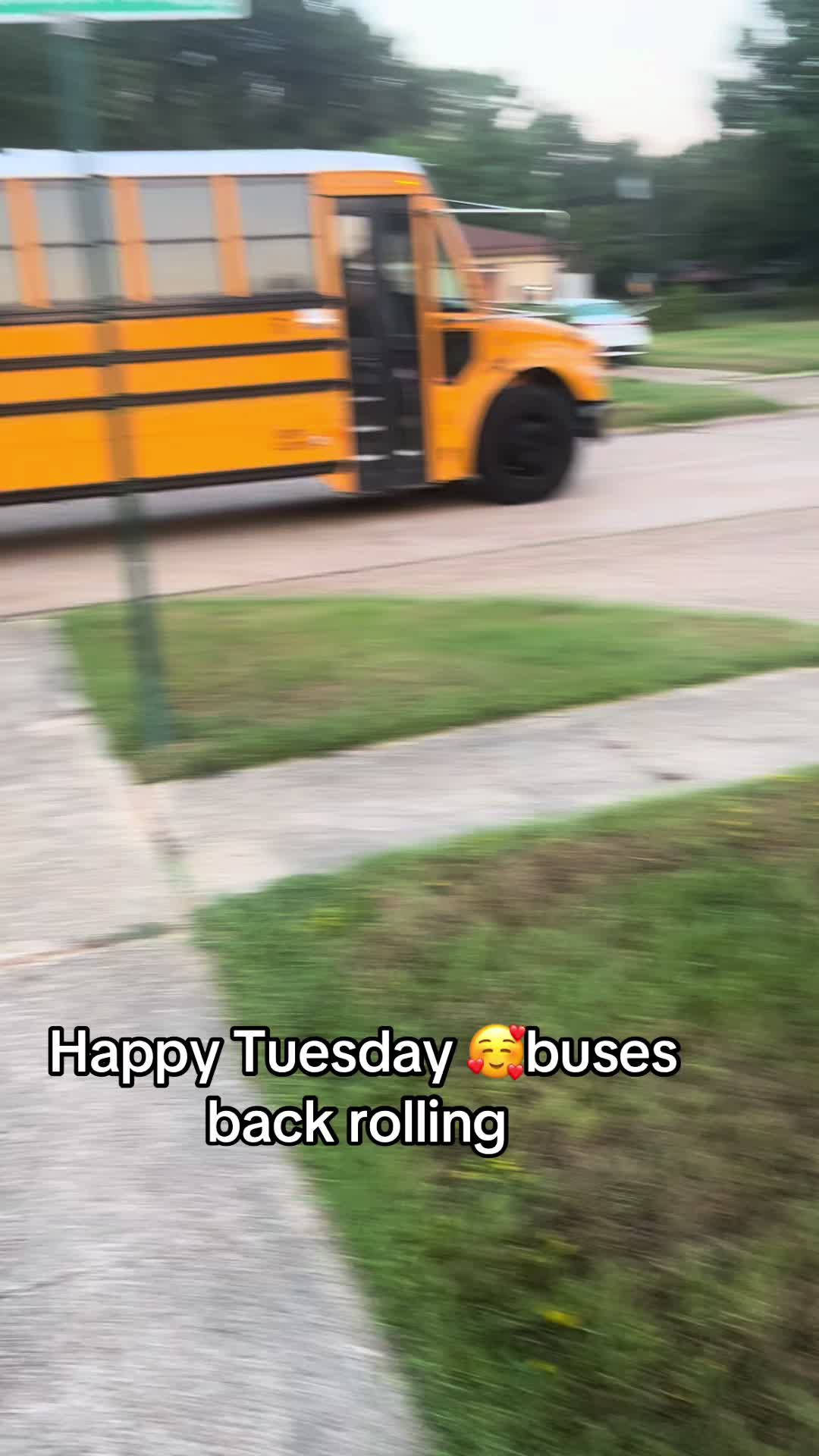 @Bluebirdbus302