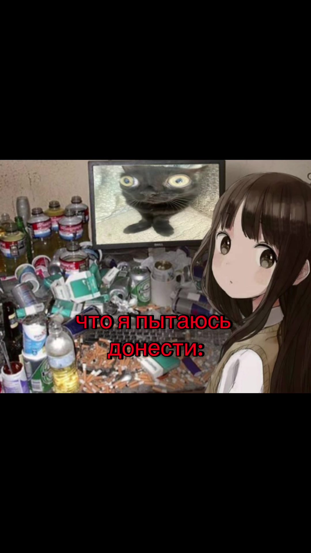 @САНЧЕС
