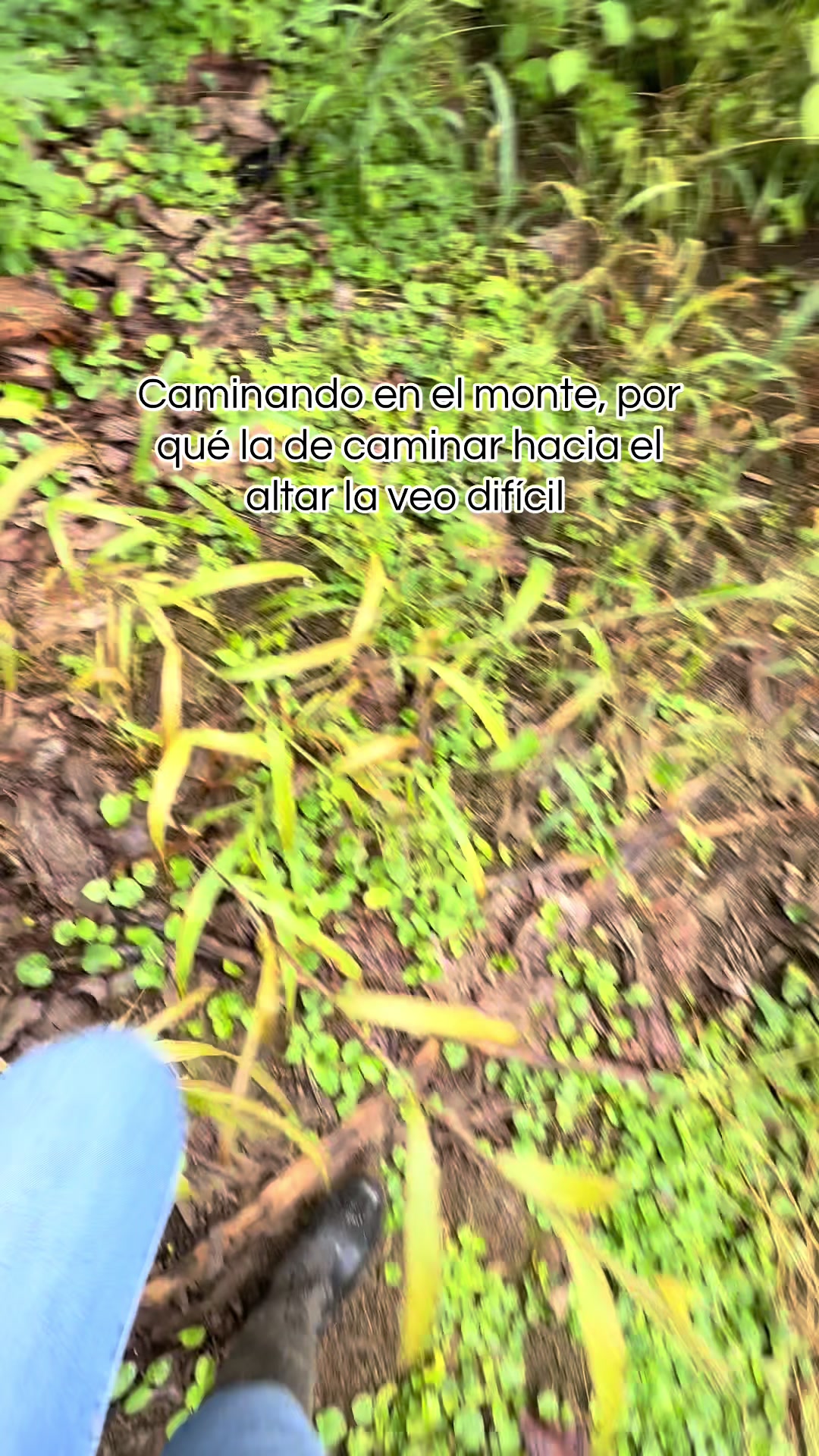 @Melina Moreira