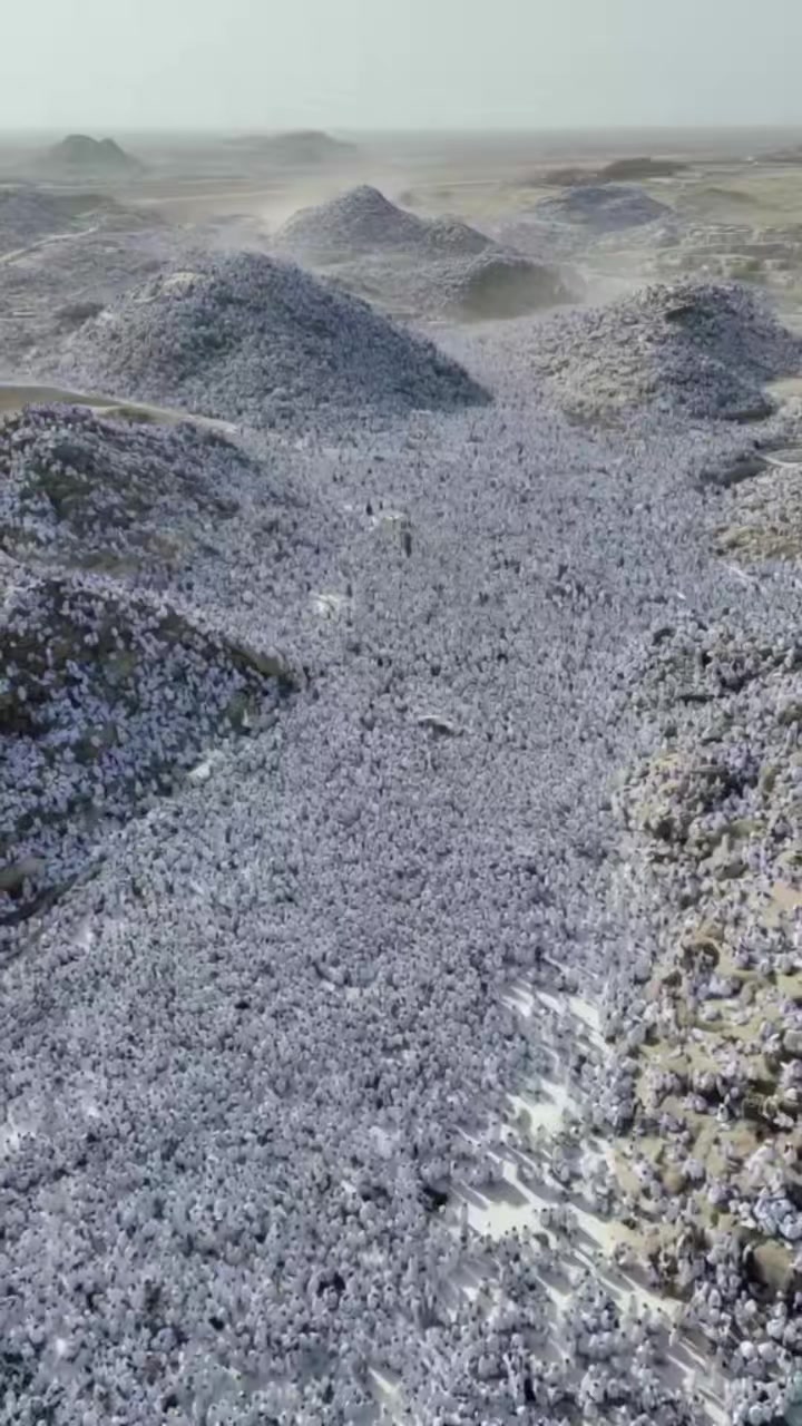 @ওয়াজিহার আম্মু