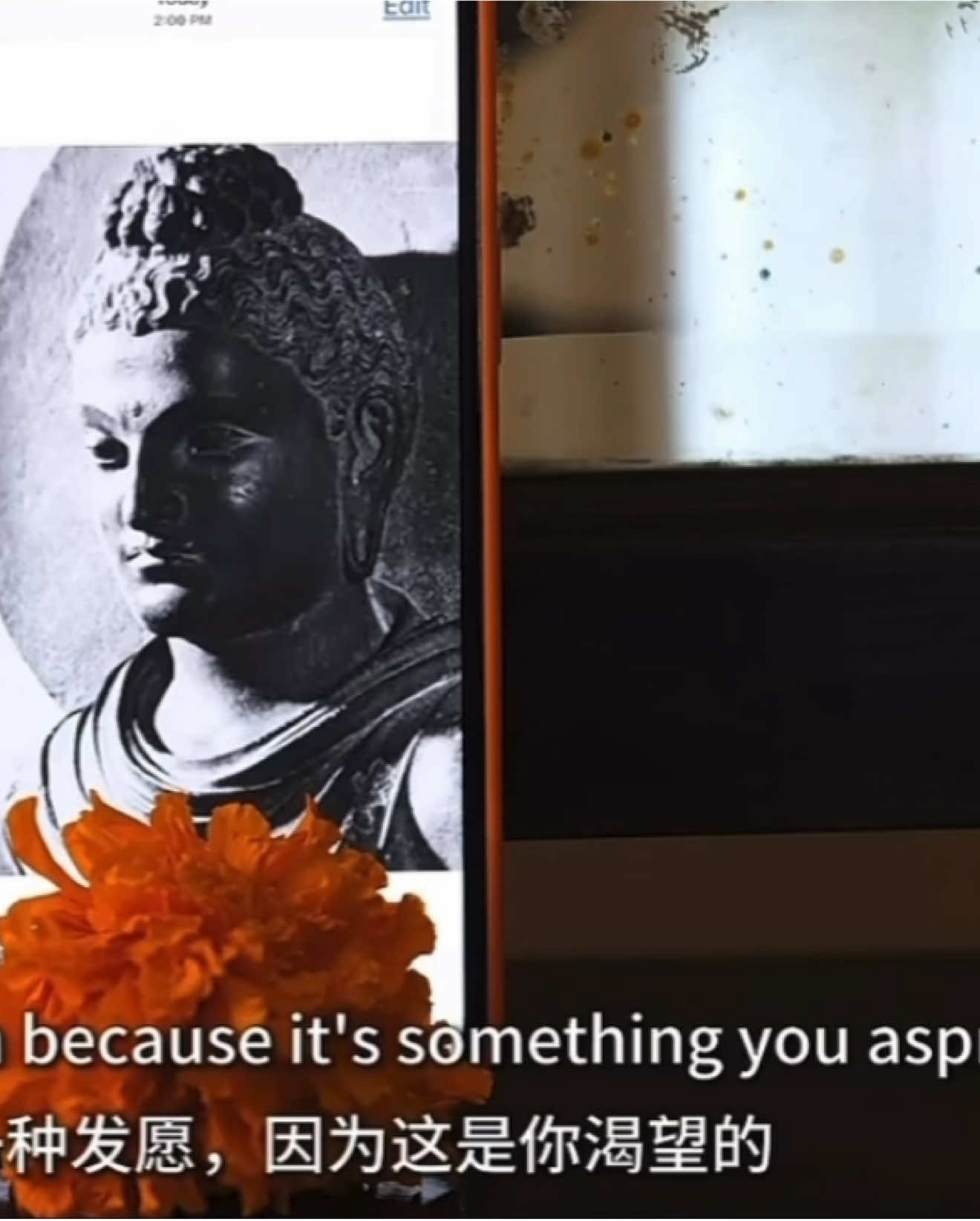 @Dharma Chakra ཆོས་ཀྱི་འཁོར་ལོ།