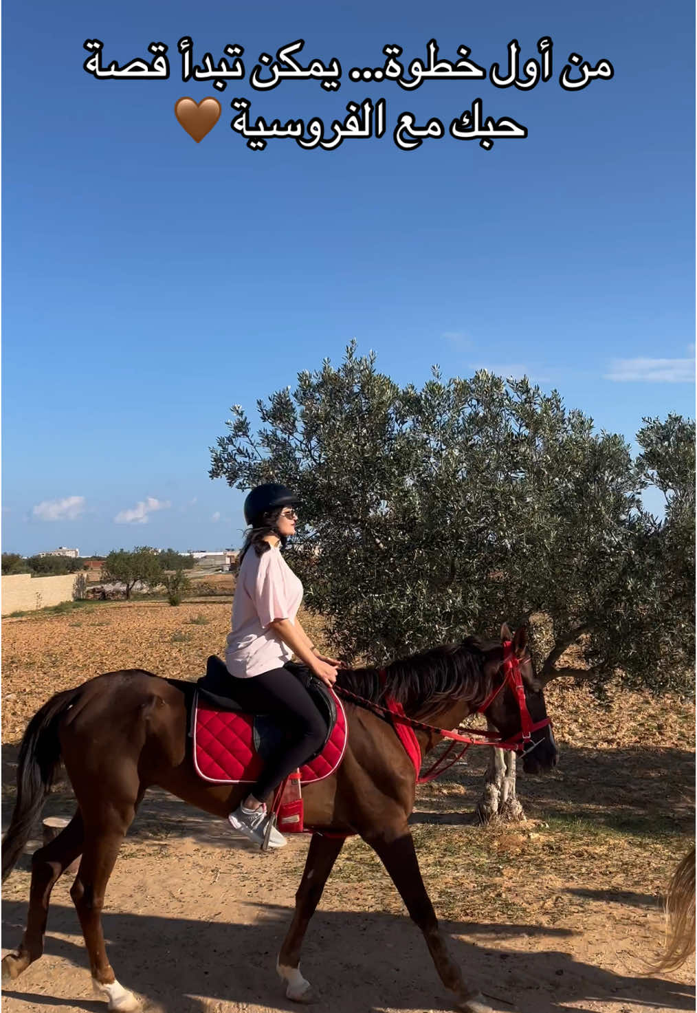 @Feres Ben Amor 🏇