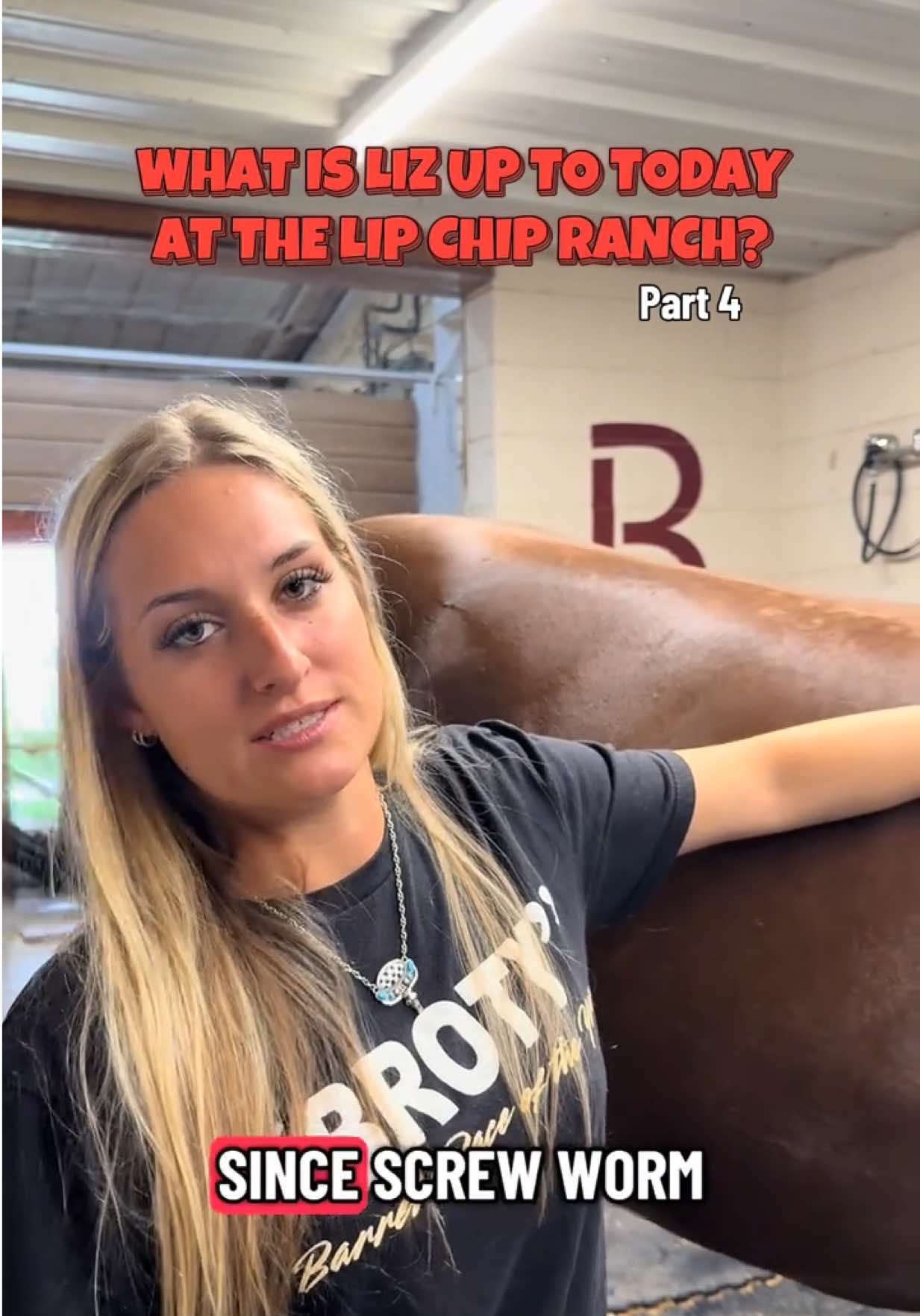 @Lip_ChipLLC