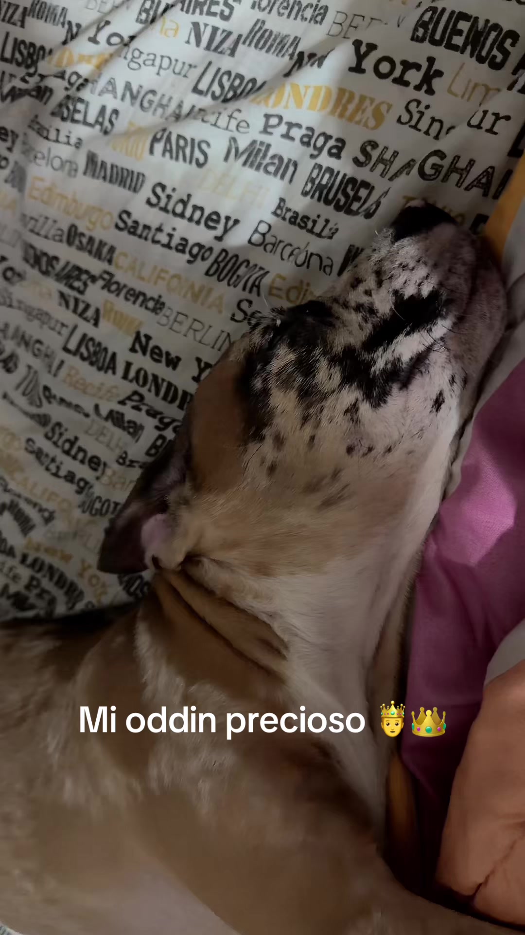 @Kriss Suarez