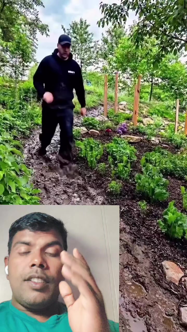 @user17446384362