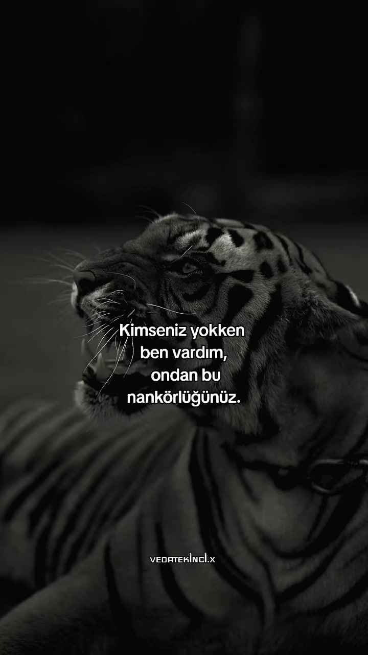 @VEDAT EKİNCİ