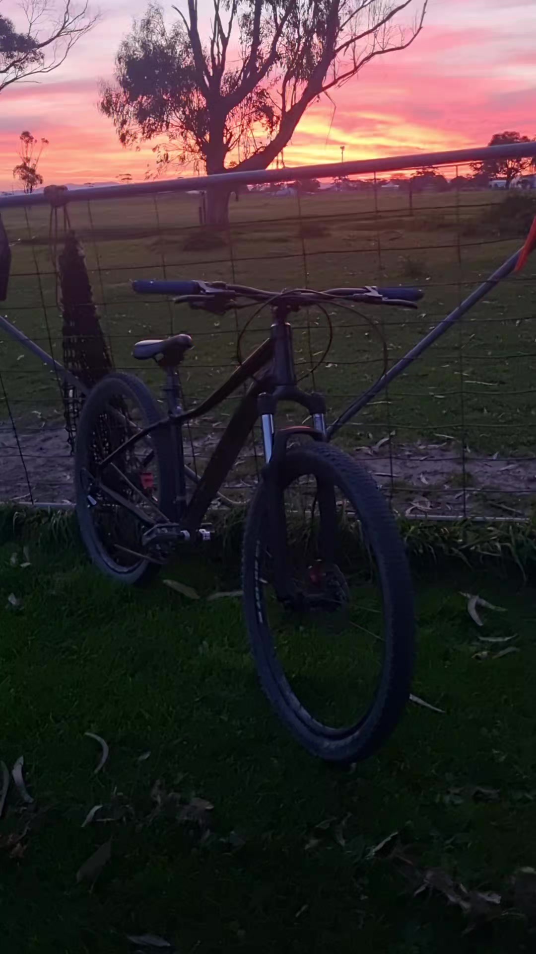 @SKIDMO67🇦🇺