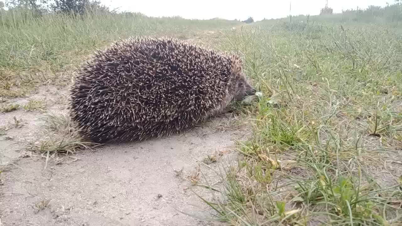 @Jaskółeczka 💫💫💫💫