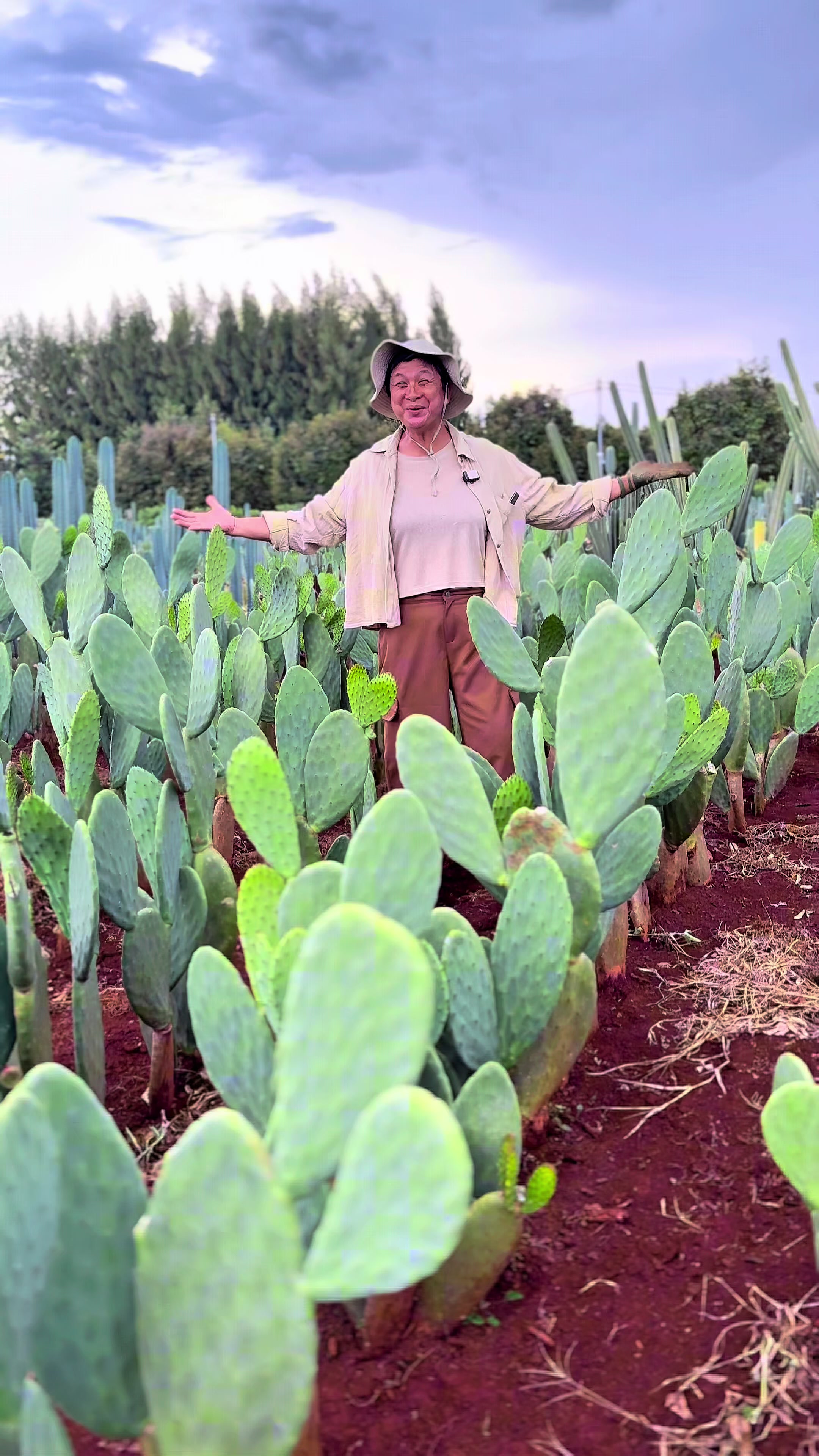 @ไร่วันยังขำ Oneyoungkham farm