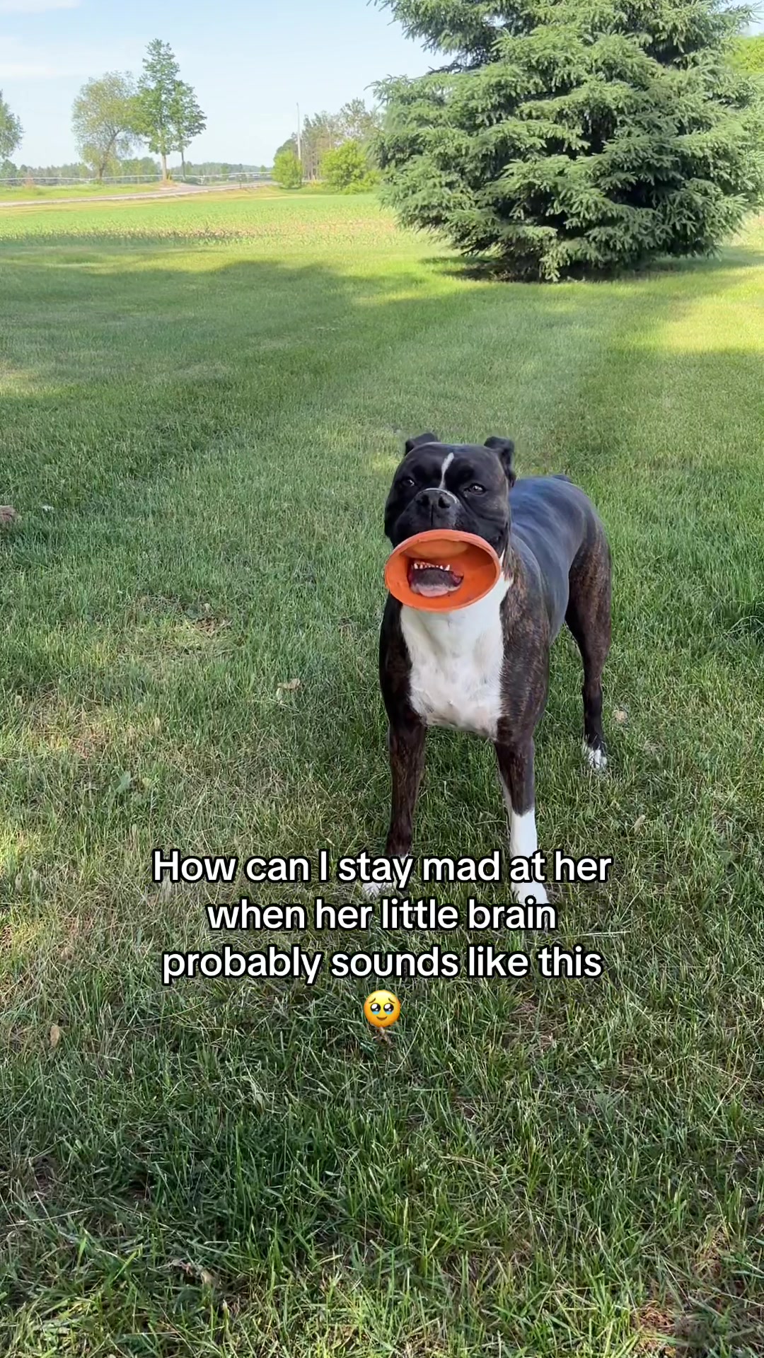 @Packmentality