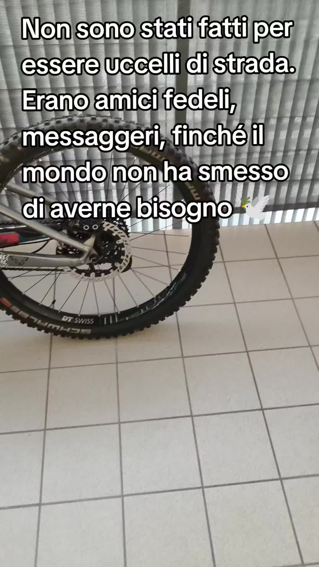 @Pergliamici Ciccio