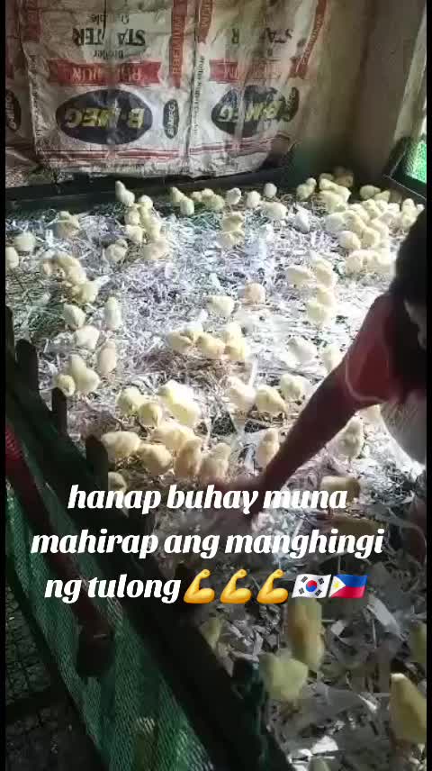 @Bunso wati  marinduque&ntilde;o