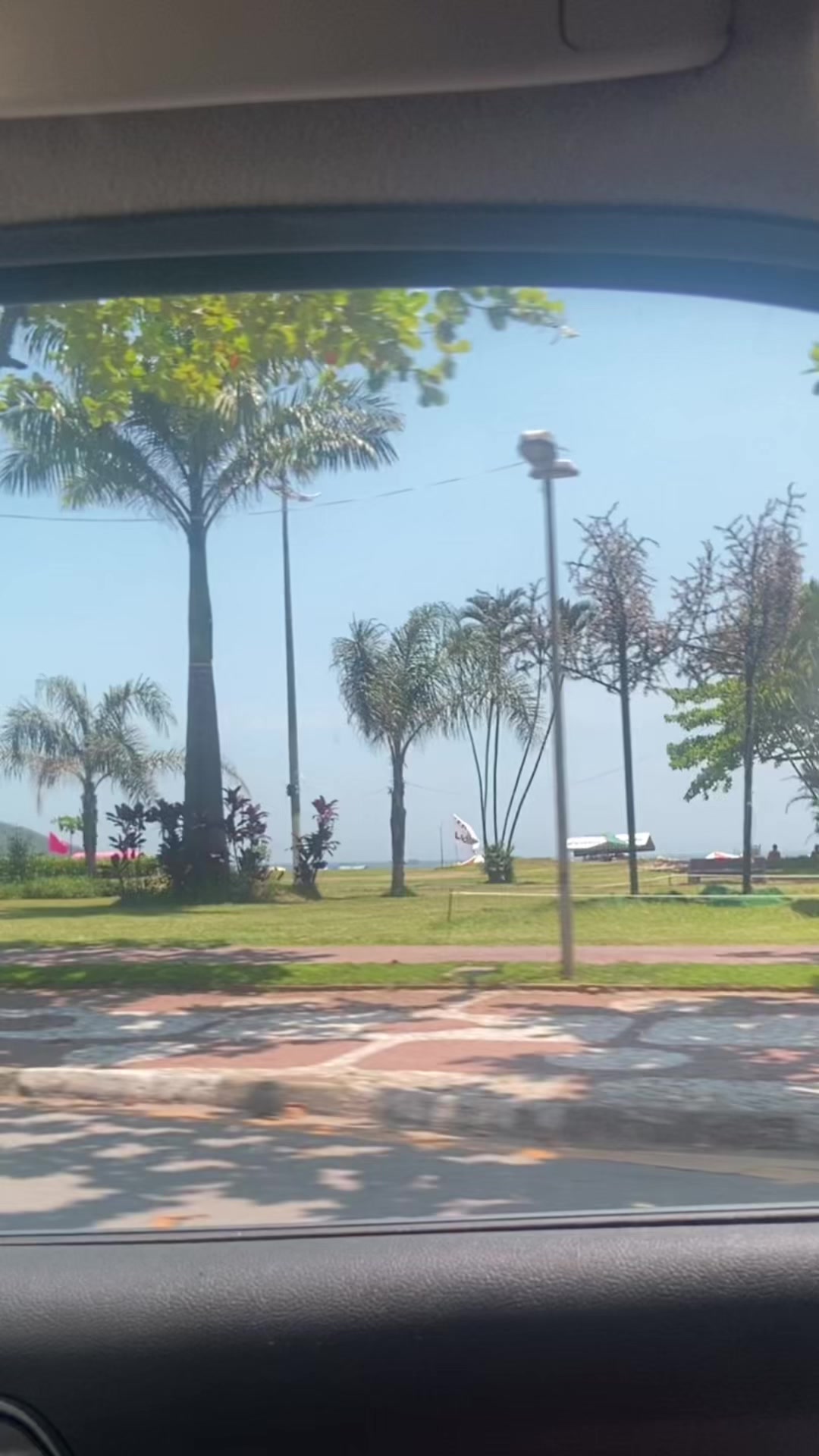 @Sandra Nunes