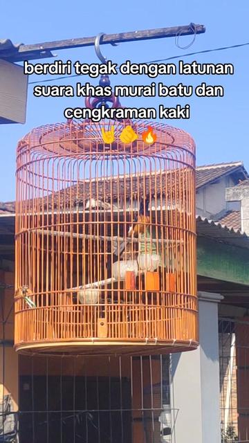 @maskembar12