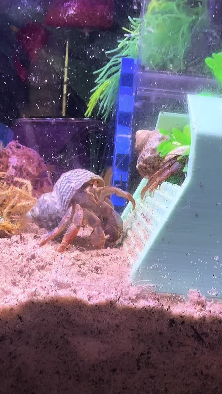 @Millennial Mama 👧 👧 🐚 🦀