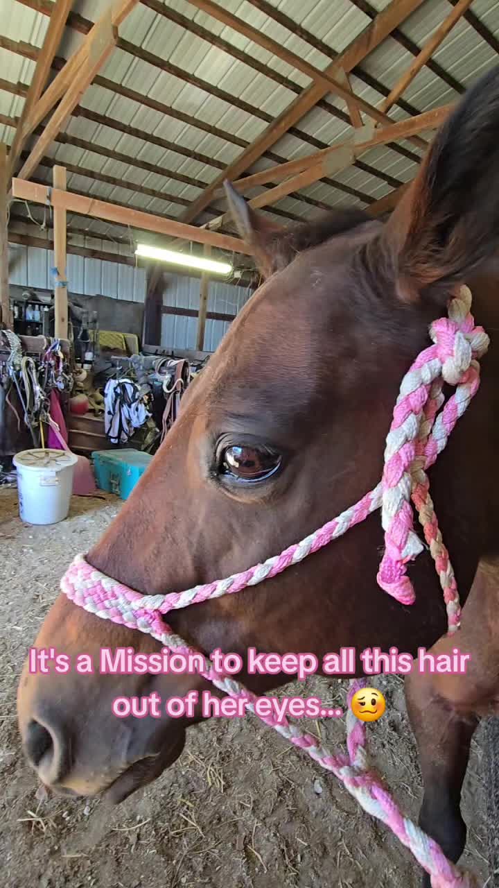 @Small Town Farm LLC