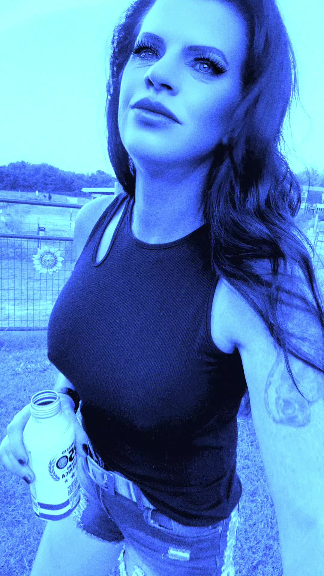 @equinelady56