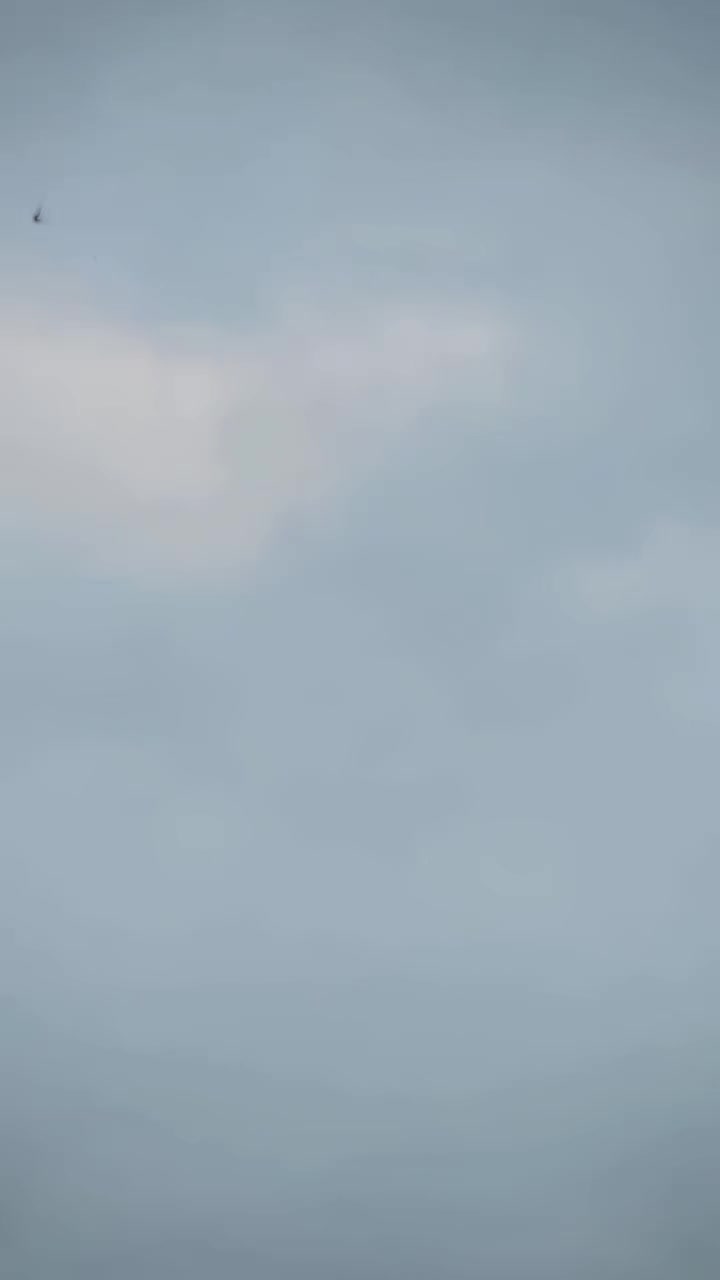 @🇹🇷𝙰𝚔💀𝙱𝚛𝙰𝚗𝚍🇹🇷&sup1;⁰&sup1;