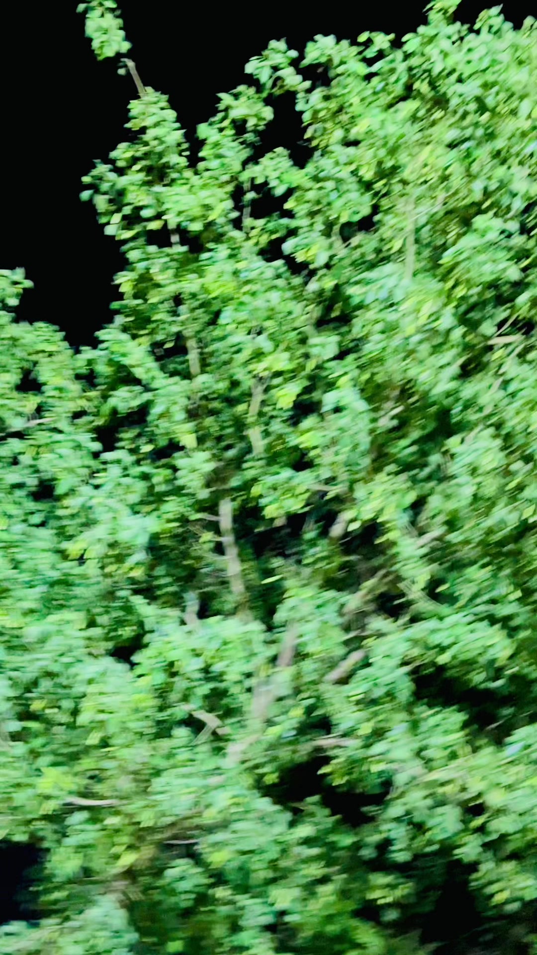 @𝐒𝓾𝐅𝓲 🚩