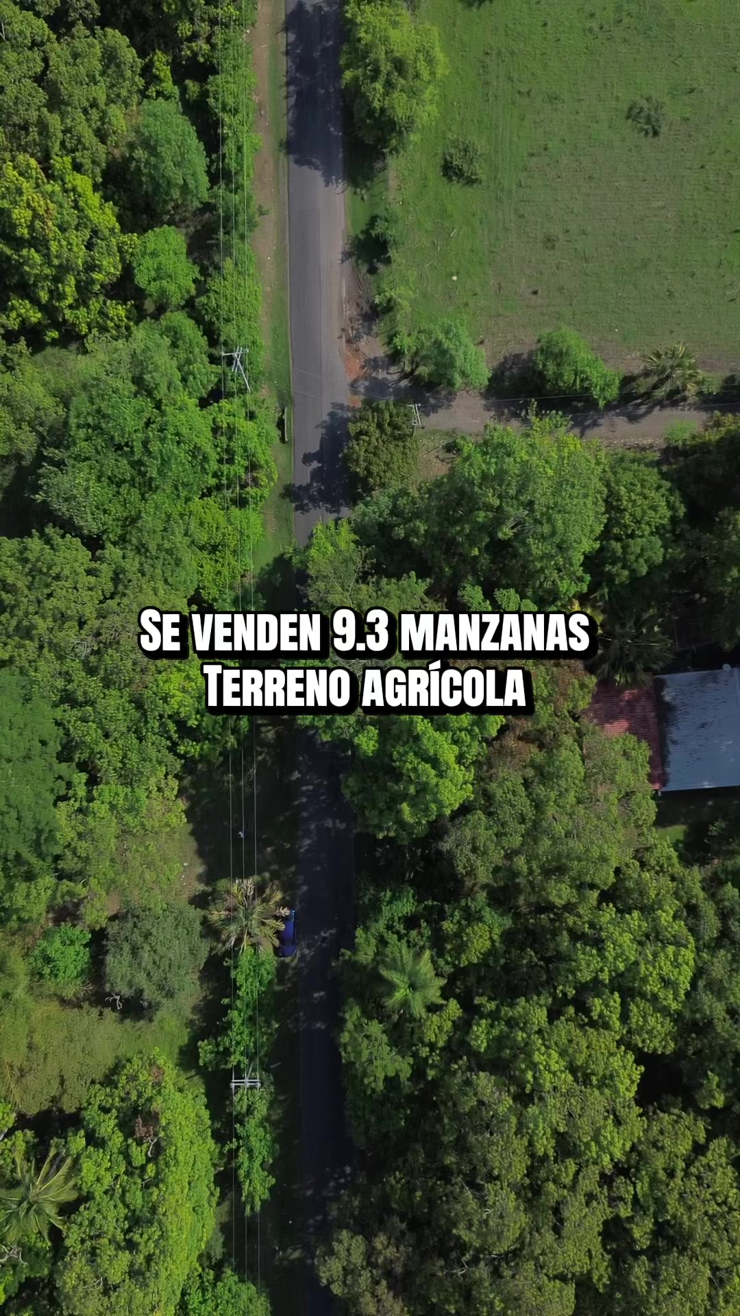 @Marco Ortiz🧸