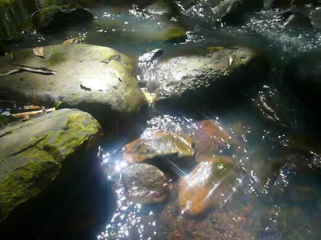 @digicamvids