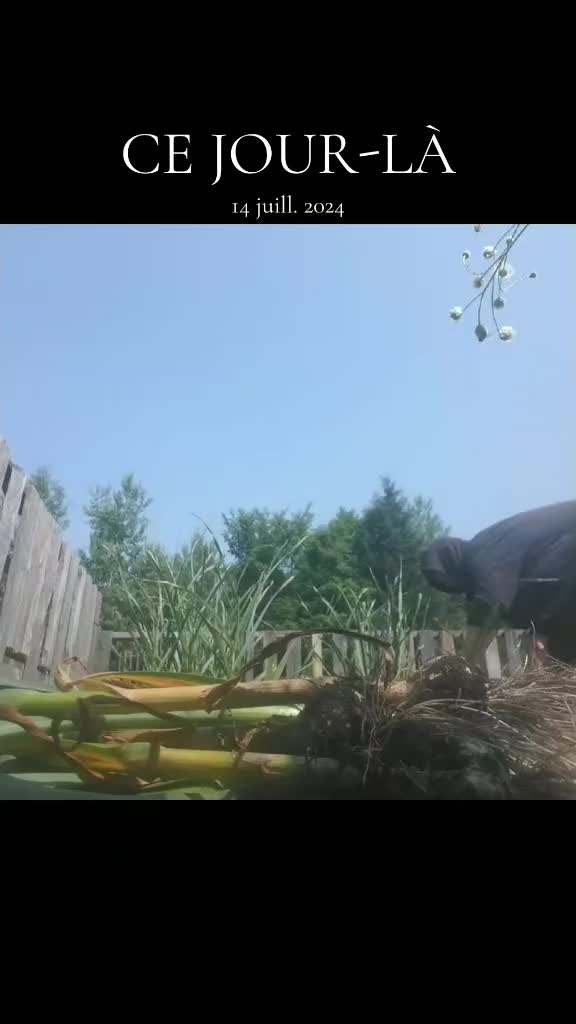 @EL DiC des bois🔥🐔🐓🦌🐏🐐🦌