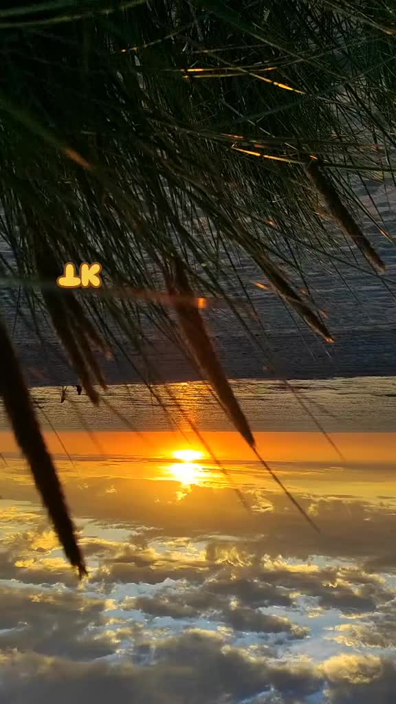 @❤️ TK ❤️