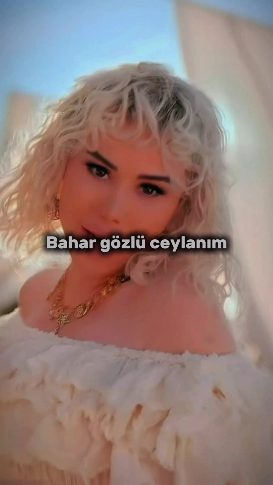 @vesselam02