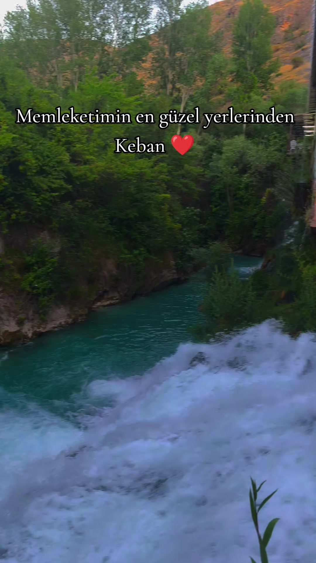 @ミ★ NeÇE🍁 ZOZAN ★彡