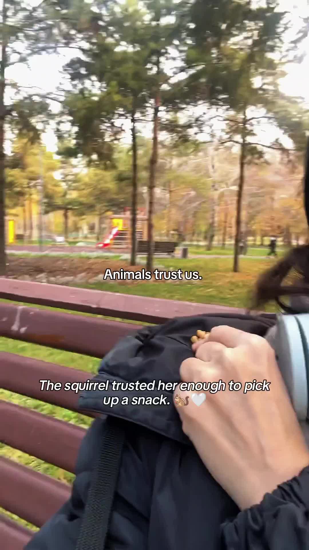 @WildwonderzZzz