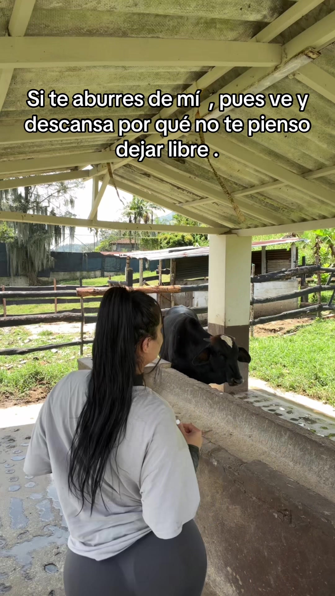 @Eli López 🦜 team periquito 🫀
