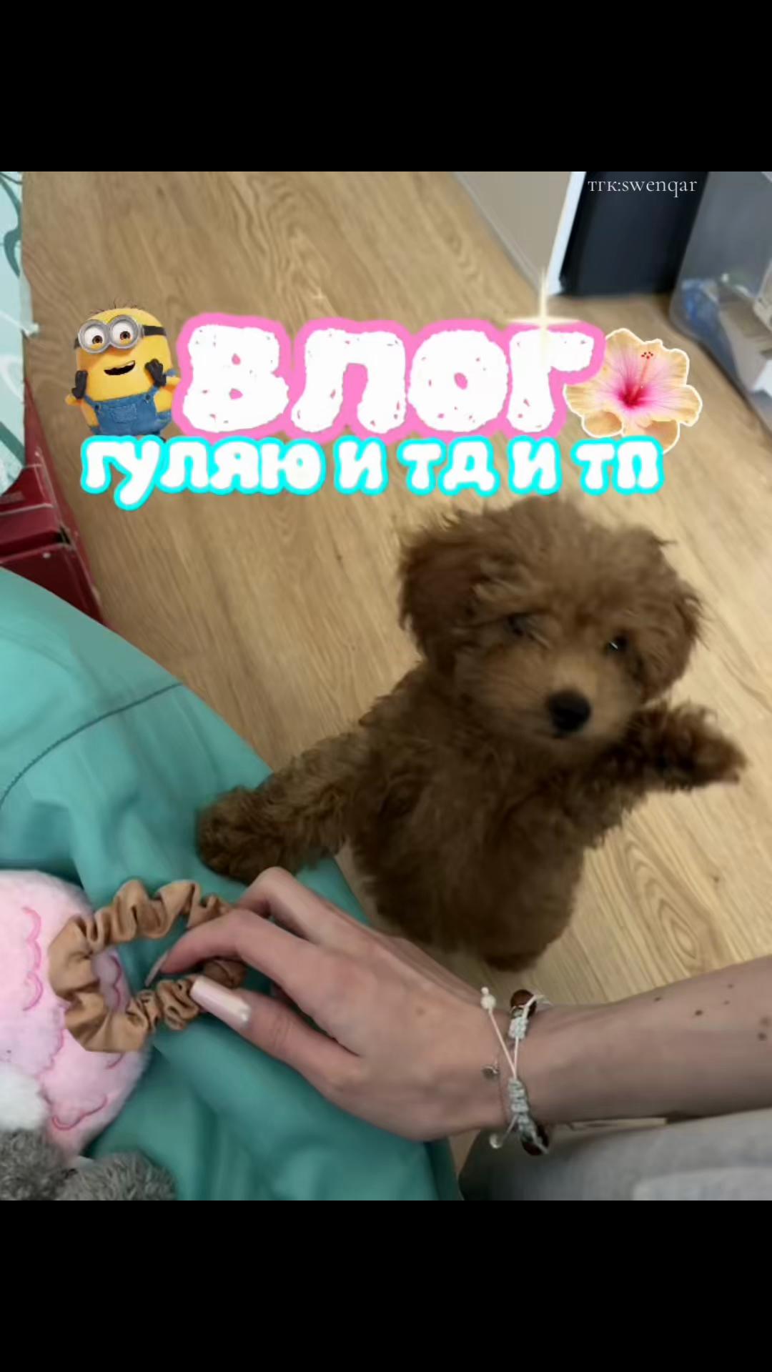 @дашкак