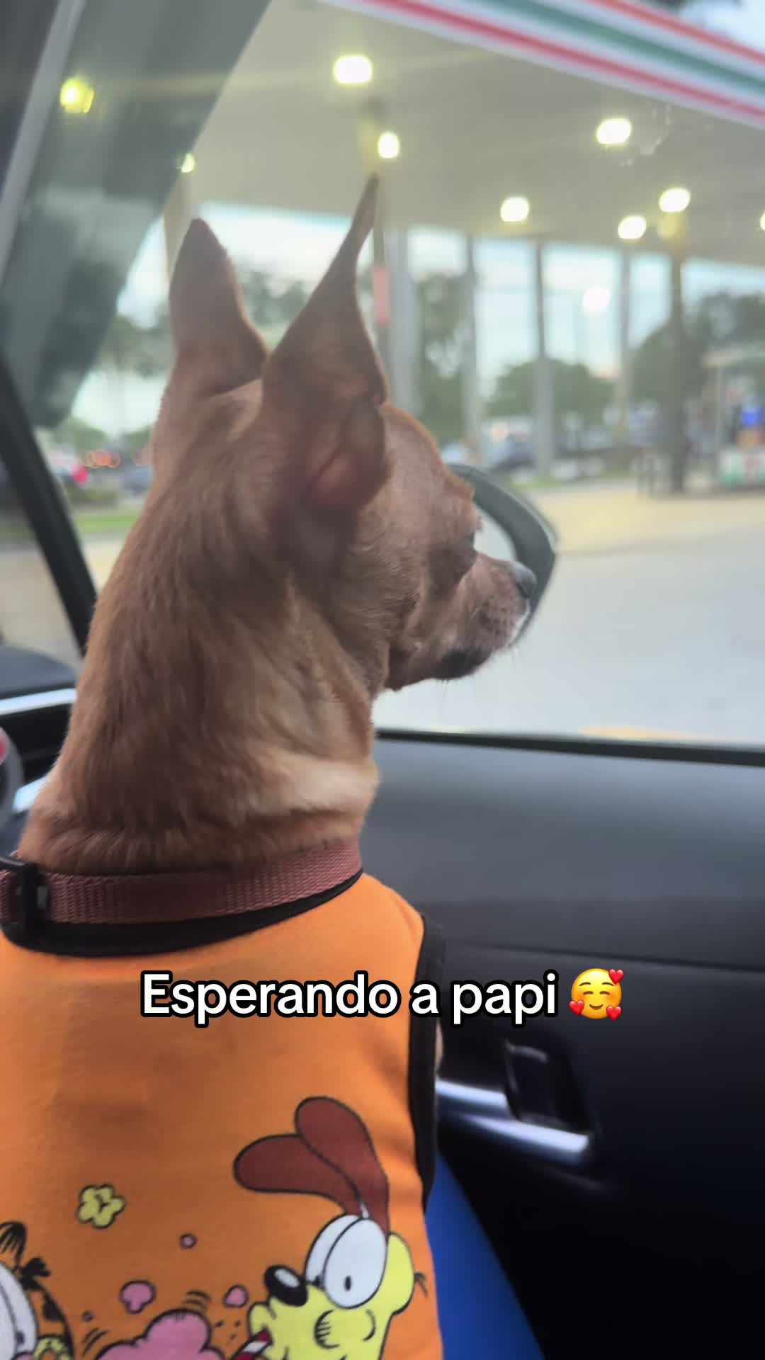 @Gloria Hernandez