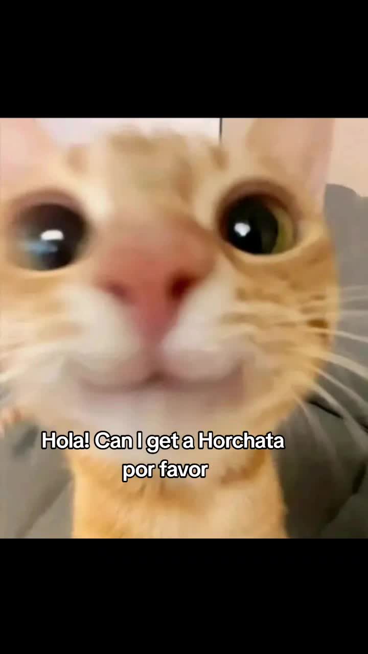 @Sindy123!