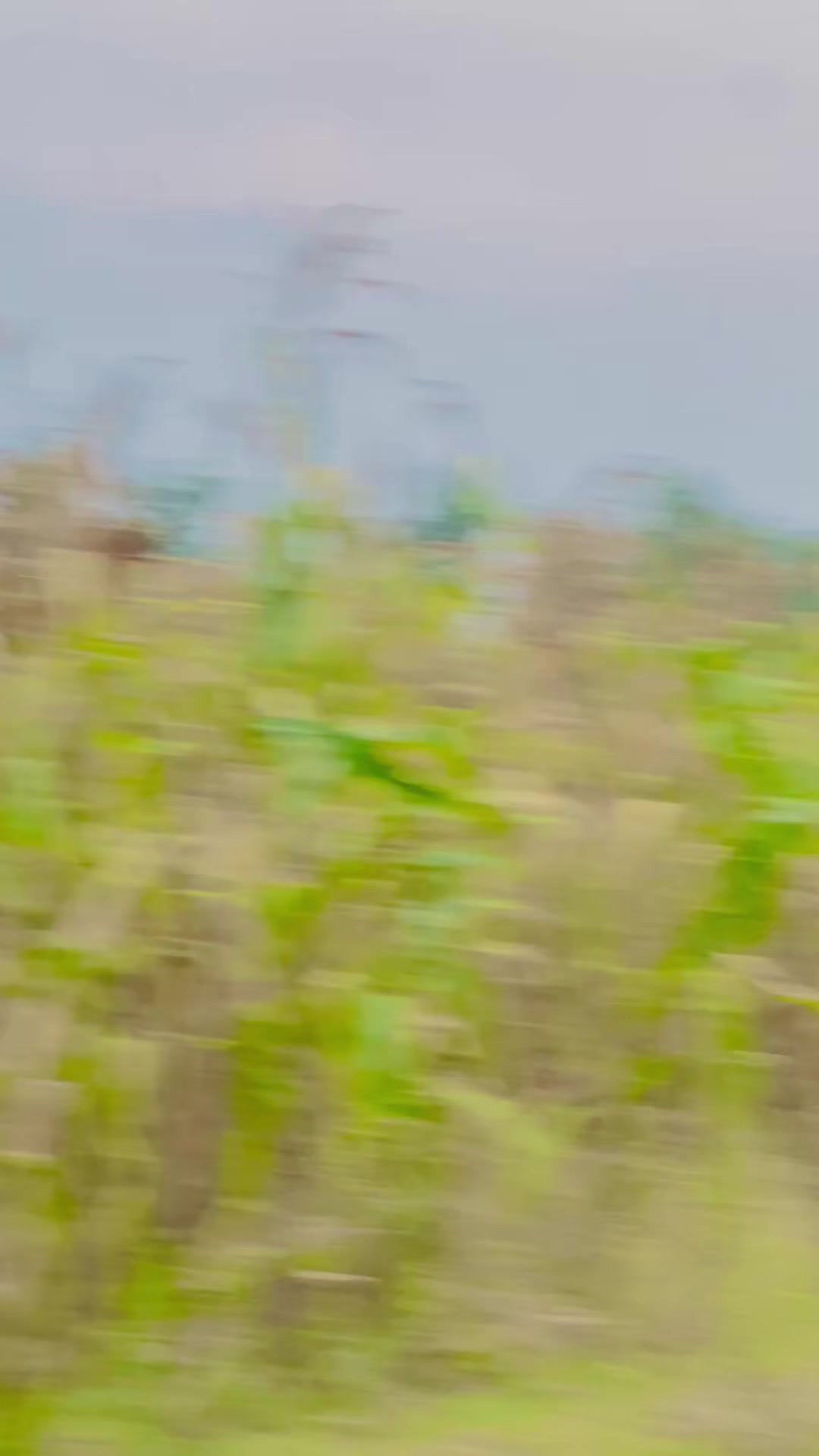 @𝘼ل𝙎𝙖𝙝𝙞𝙡🚩