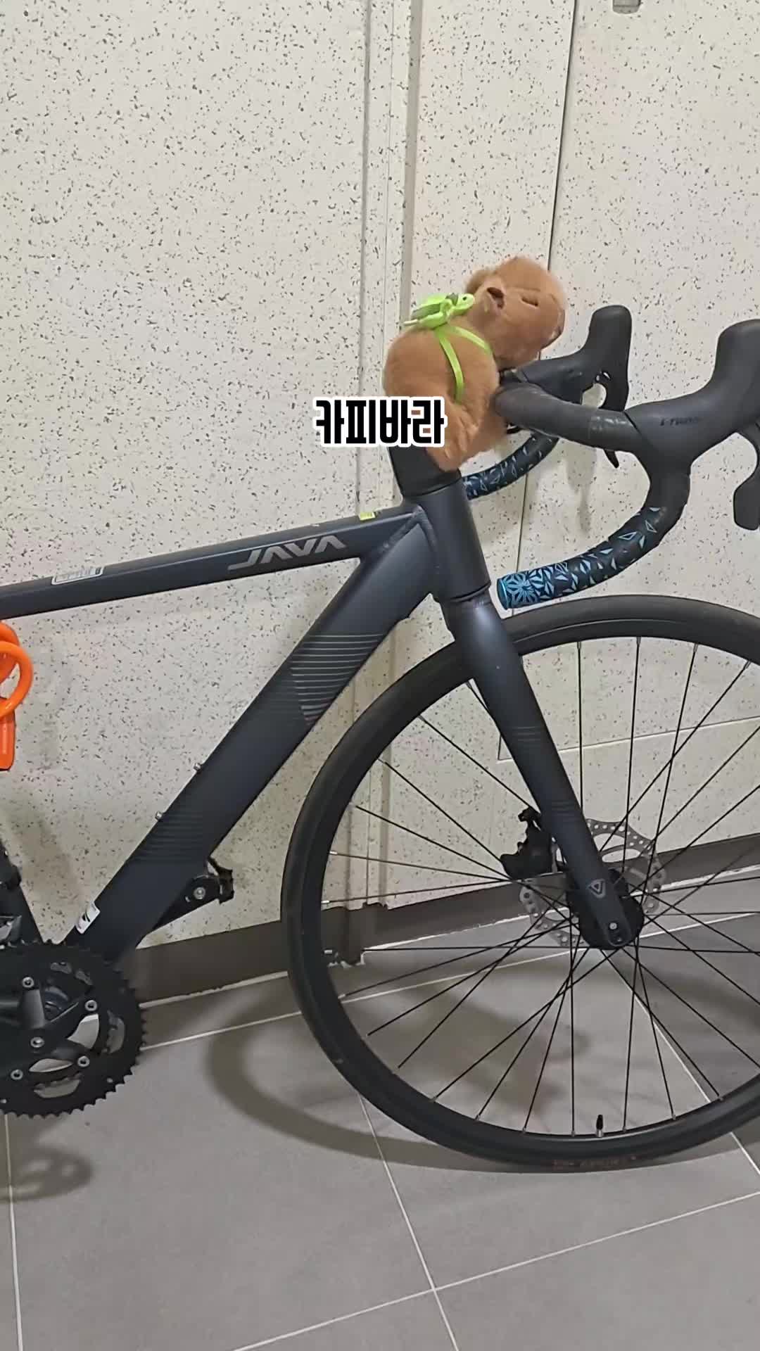 @쿼카콜라