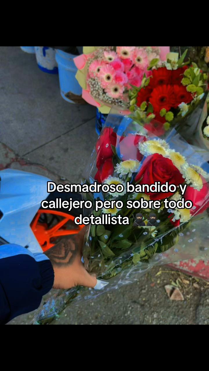 @DUKE GÓMEZ 81