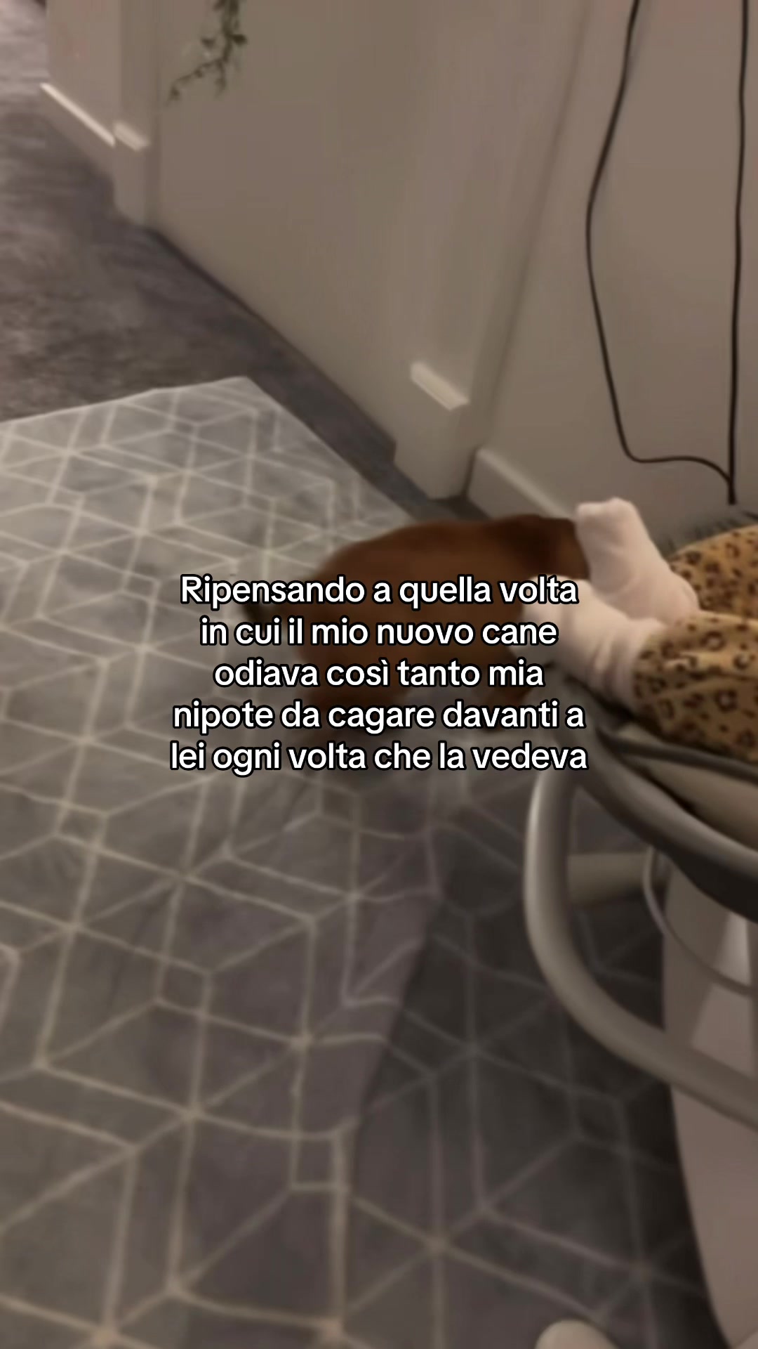 @autisticgirl