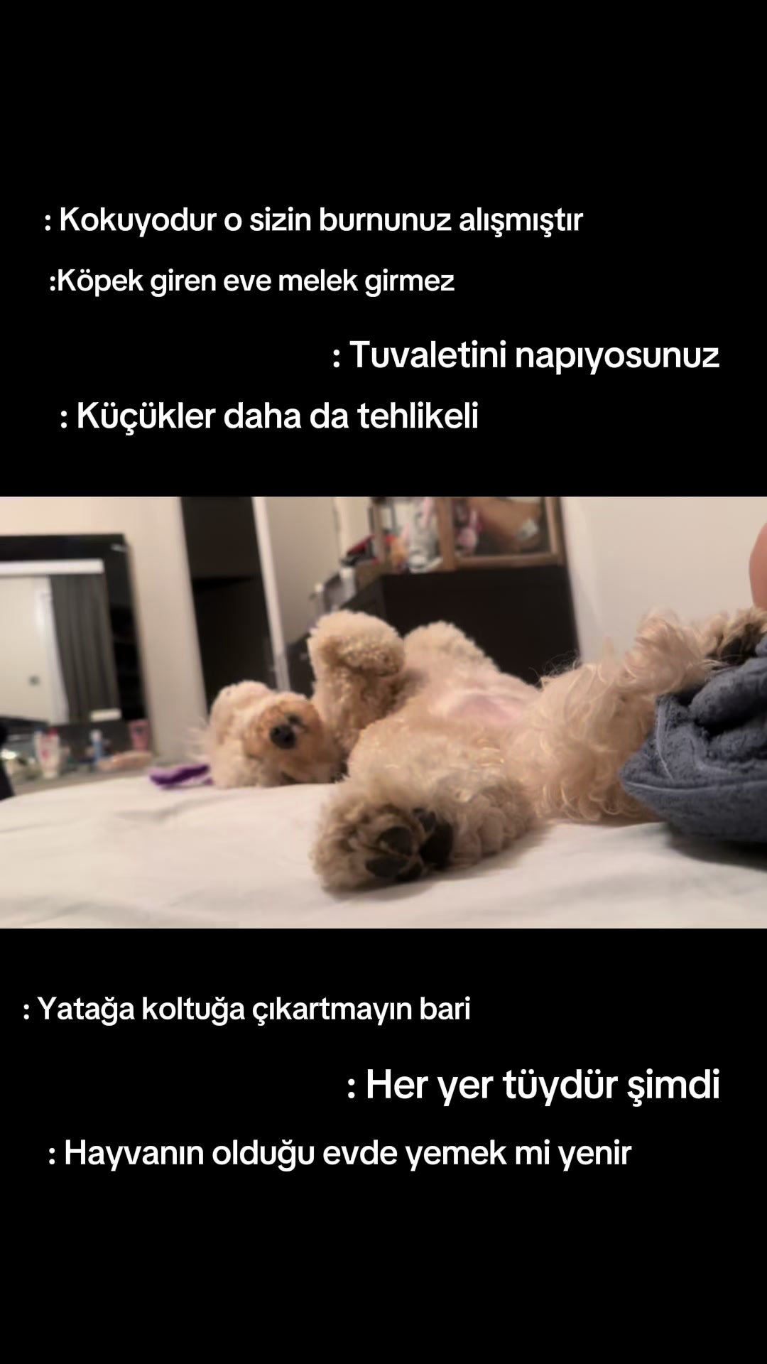 @gizoli88