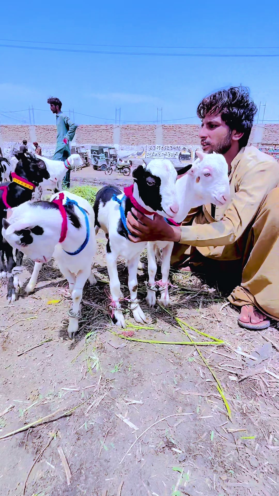 @arif_bhai55 03173743223