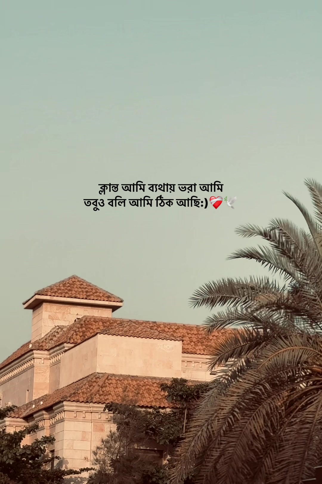 @𝐒𝐈 𝐘 𝐀𝐌 