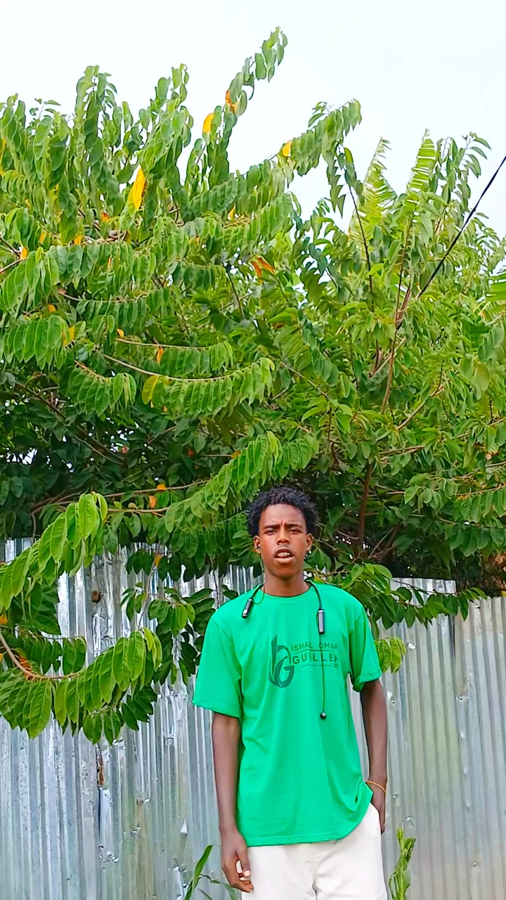 @ÀĹÈX ĶÈMÀĹ