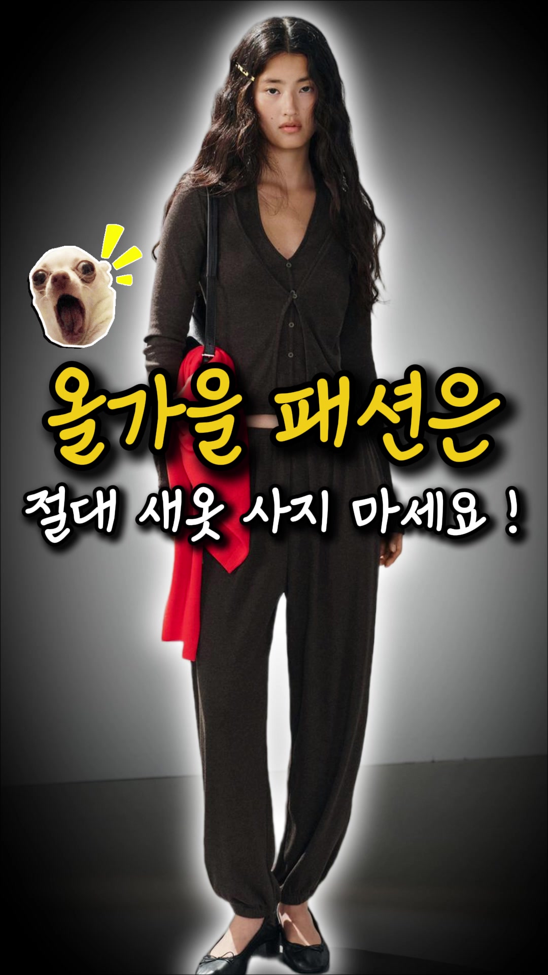 @오늘뭐입지