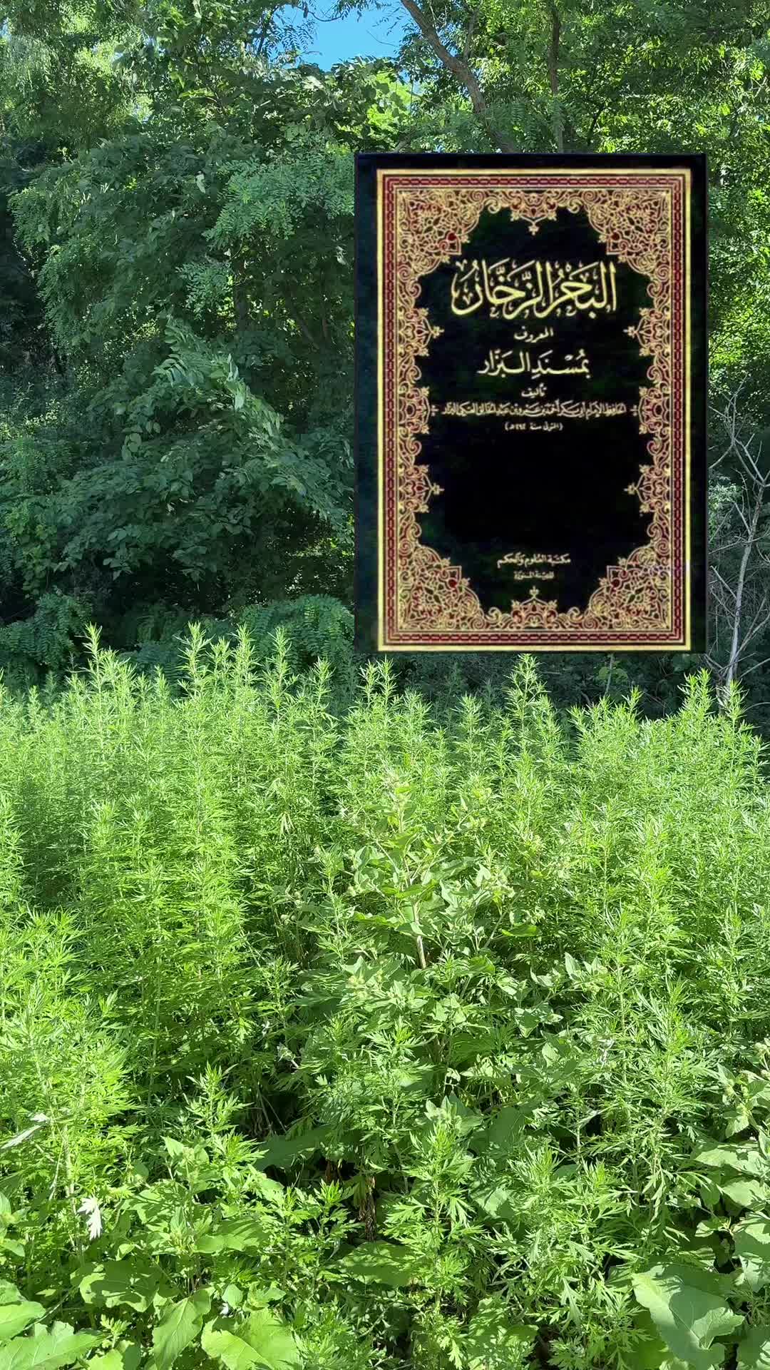 @johnshaqi01